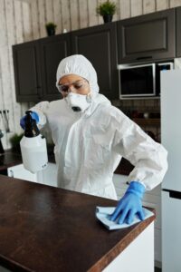 emergency pest removal