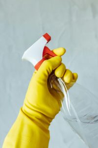 termite inspection and treatment